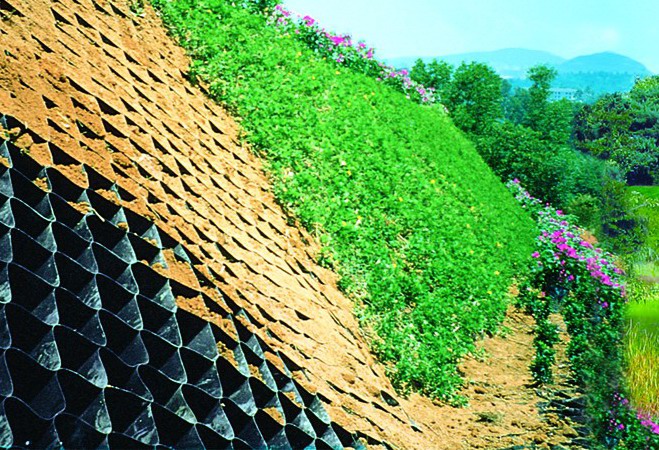 Vegetated Walls and Slopes