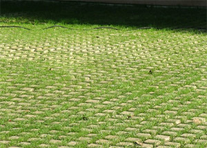 Drivable Grass Porous Pavement