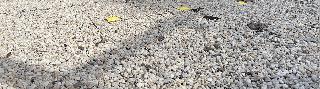 Lime and Cement Treated Subgrades
