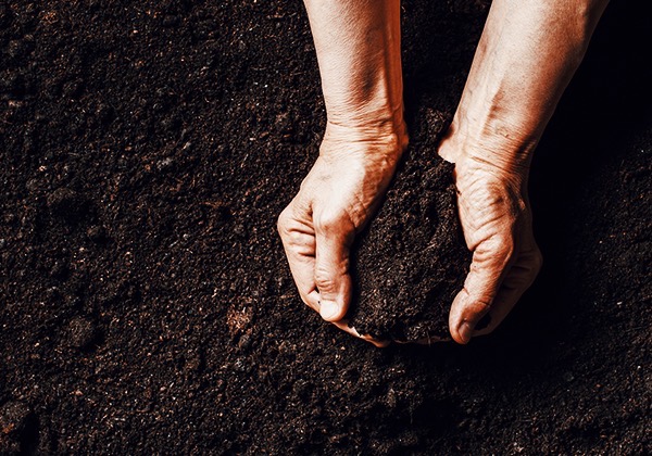 hands holding healthy soil